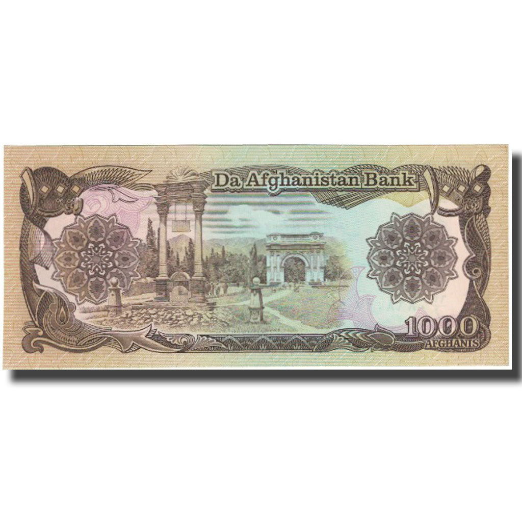 Banknote, Afghanistan, 1000 Afghanis, Undated (1991), KM:61c, UNC(65-70)