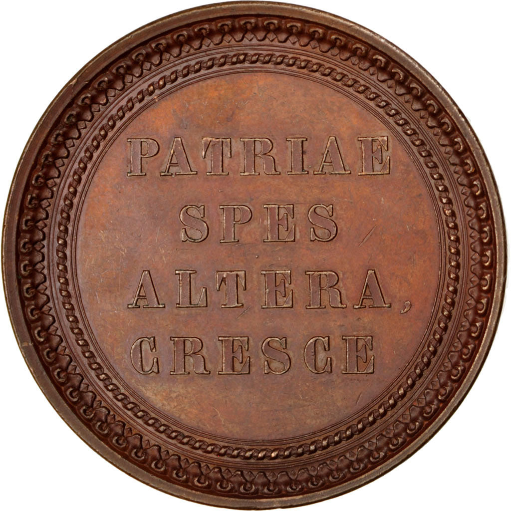 Belgium, History, Medal, AU(55-58), Bronze, 50, 59.00
