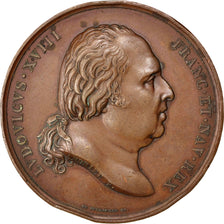 France, Medal, Louis XVIII, History, 1817, Andrieu, TTB, Bronze