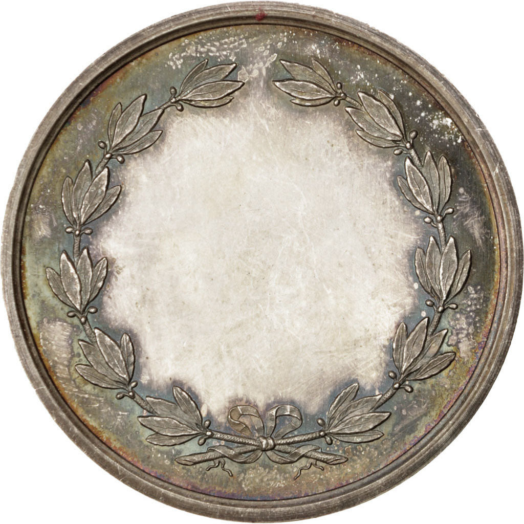Francja, Medal, Trzecia Republika Francuska, Sztuka i Kultura, AU(50-53), Srebro