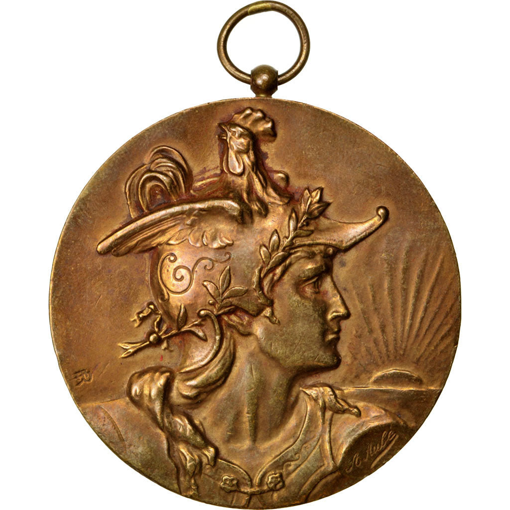 FRANCE, Politics, Society, War, French Third Republic, Medal, 1913, AU(50-53),..