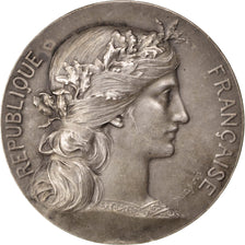 FRANCE, Politics, Society, War, French Third Republic, Medal, AU(50-53),...