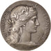 FRANCE, Politics, Society, War, French Third Republic, Medal, AU(50-53),...