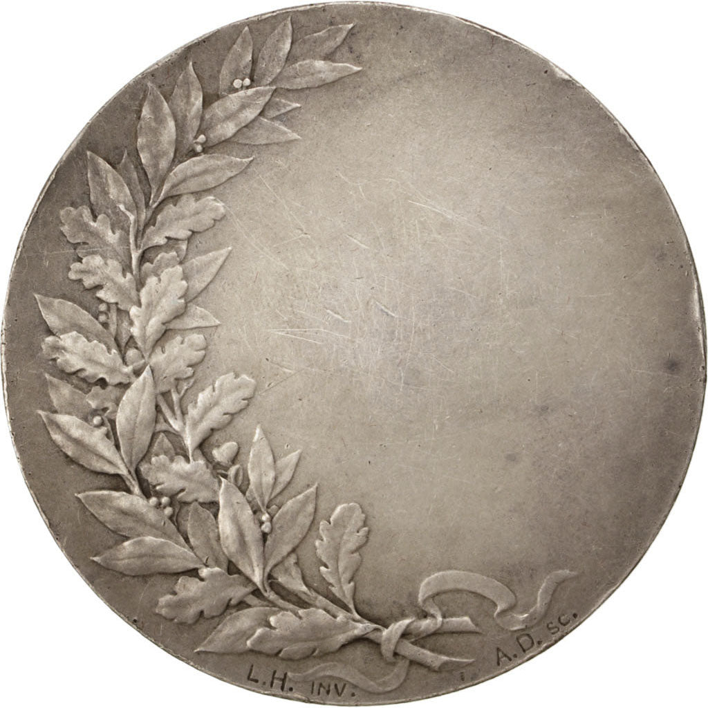 Frankreich, Medal, French Third Republic, Politics, Society, War, Dubois.A, SS+