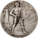 Frankreich, Medal, French Third Republic, Politics, Society, War, VZ, Bronze