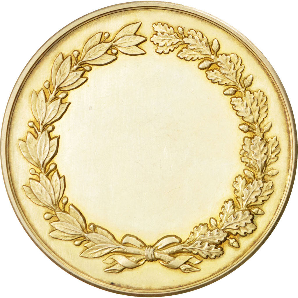 Francia, Medal, French Third Republic, Politics, Society, War, SPL-, Vermeil