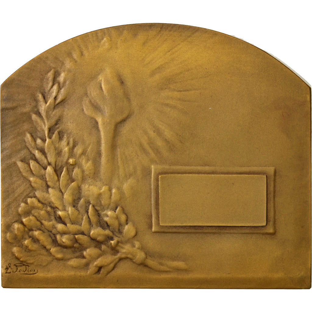 Frankrijk, Medal, French Third Republic, Arts & Culture, PR, Bronze