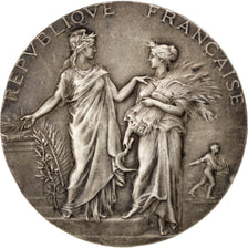Francia, Medal, French Third Republic, Business & industry, 1910, Dubois.A, BB+