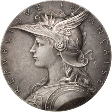 FRANCE, Politics, Society, War, French Third Republic, Medal, AU(50-53), Roty,..