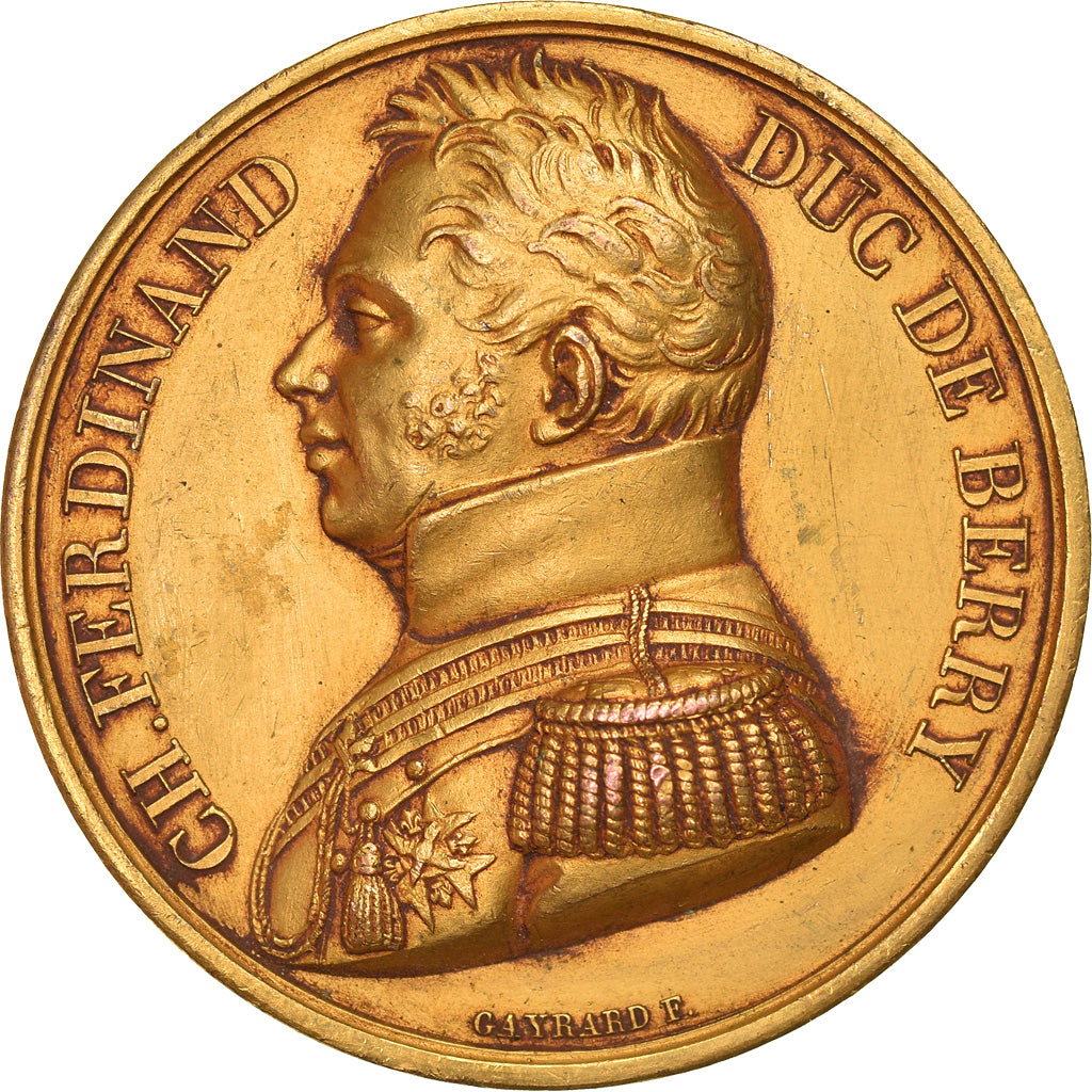 France, Medal, Charles Ferdinand Duc de Berry, History, 1820, Gayrard