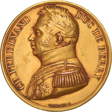 France, Medal, Charles Ferdinand Duc de Berry, History, 1820, Gayrard