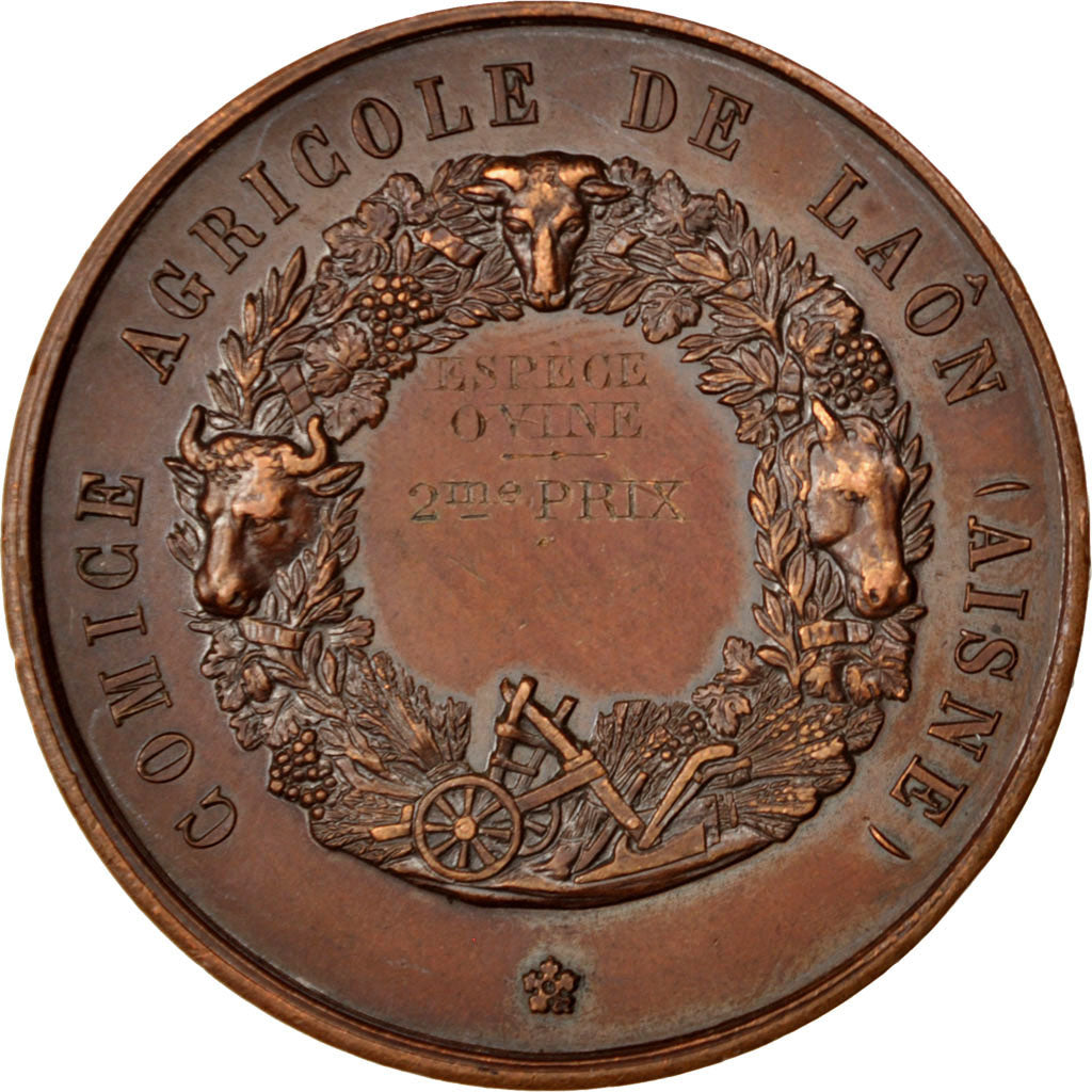 Comice Agricole de Laon, Médaille