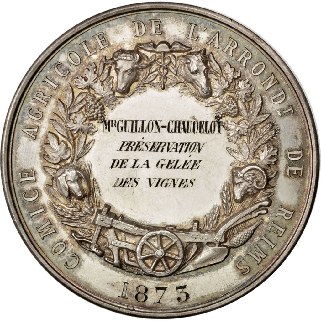FRANCE, Business & industry, French Third Republic, Medal, 1873, AU(55-58),...