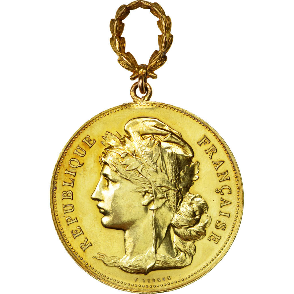 Francia, Medal, French Third Republic, Business & industry, Vernon, EBC, Oro