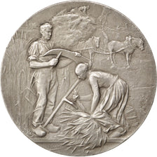Comice Agricole de Laon, Médaille
