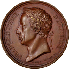Francia, Medal, First Restoration, Politics, Society, War, 1814, Gayrard, EBC