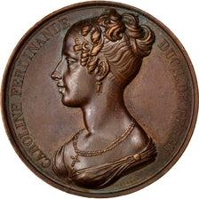 FRANCE, Politics, Society, War, Louis XVIII, Medal, 1816, AU(55-58), Gayrard,...