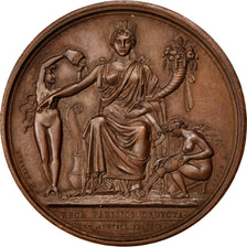 FRANCE, Politics, Society, War, First French Empire, Medal, 1809, AU(55-58),...
