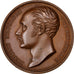 Eugène Napoléon, Vice Roi d'Italie, Médaille