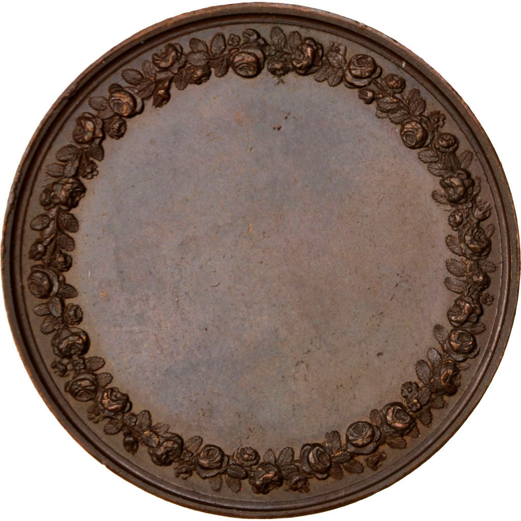 Jean Jacques Rousseau, Médaille