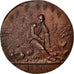 Médaille de 1870, Médaille
