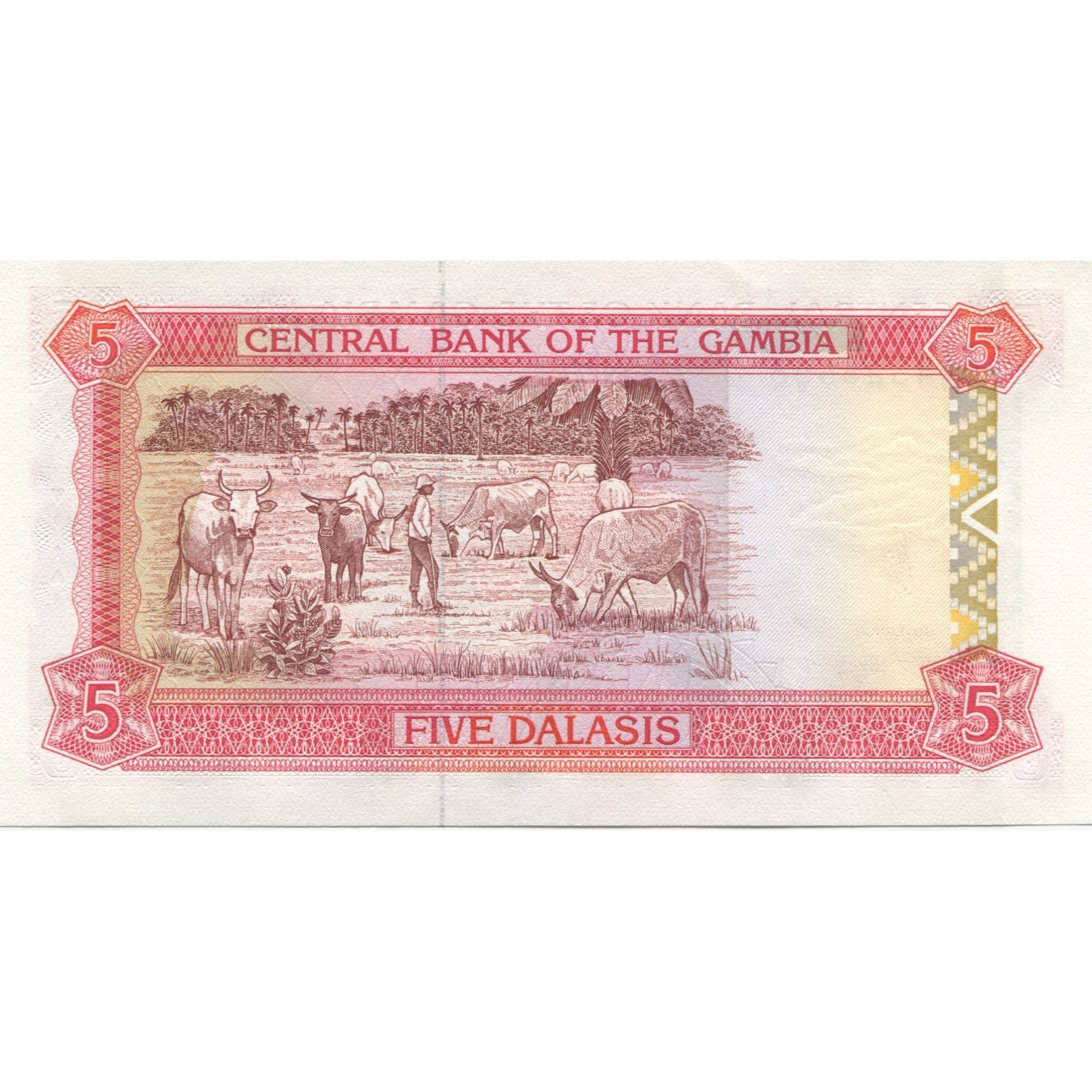 Banknote, The Gambia, 5 Dalasis, KM:12a, UNC(65-70)