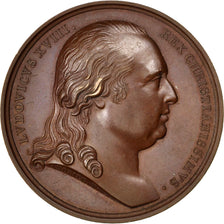 France, Medal, Louis XVIII, Politics, Society, War, 1816, Andrieu, AU(55-58)