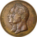 FRANCE, Politics, Society, War, Charles X, Medal, 1825, AU(55-58), Petit,...