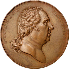 Louis XVIII, Médaille, Entrée de Louis XVIII à Paris