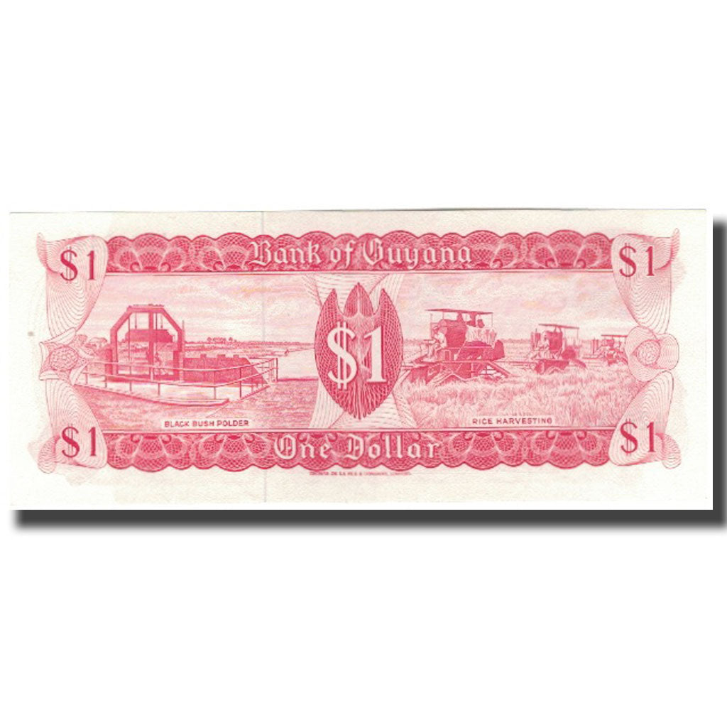 Geldschein, Guyana, 1 Dollar, KM:21a, UNZ