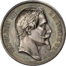 FRANCE, Politics, Society, War, Second French Empire, Medal, AU(55-58), Barre,..