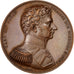 Sweden, Medal, Politics, Society, War, Barre, AU(55-58), Bronze