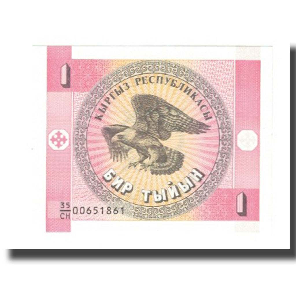 Banknote, KYRGYZSTAN, 1 Tyiyn, KM:1, UNC(63)
