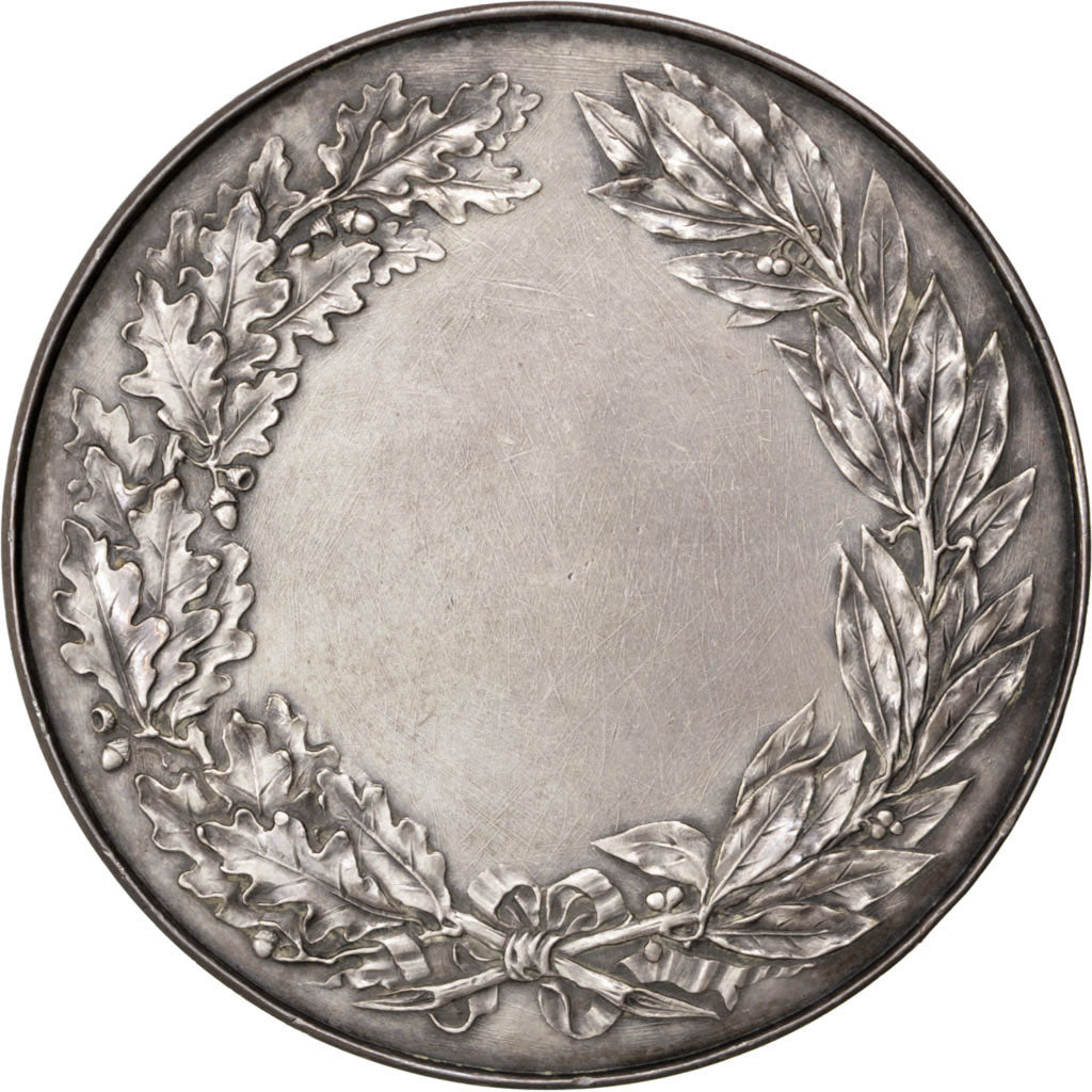 FRANCE, Politics, Society, War, French Third Republic, Medal, MS(60-62),...