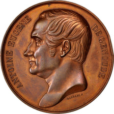 Francia, Medal, French Second Republic, Politics, Society, War, 1849, Gayrard