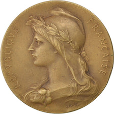 Association Sténographique Unitaire, Médaille