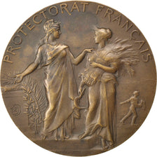 Francja, Medal, Trzecia Republika Francuska, Biznes i przemysł, 1904, Dubois.A