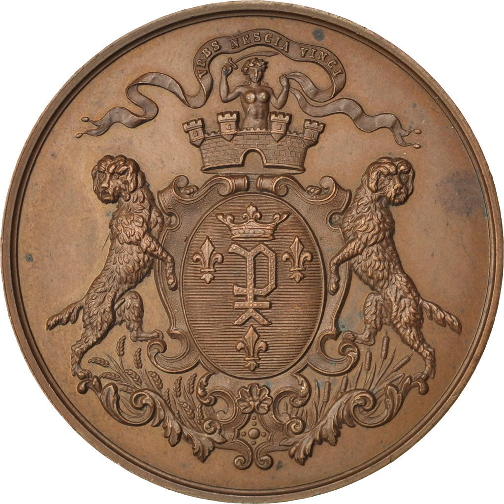 France, Medal, Second French Empire, History, Stern, AU(55-58), Copper