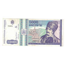 Banknote, Romania, 5000 Lei, 1993, Mai 1993, KM:104a, EF(40-45)