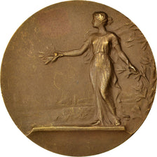 France, Medal, French Third Republic, Politics, Society, War, TTB, Bronze