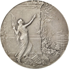 FRANCE, Arts & Culture, French Third Republic, Medal, AU(55-58), Riberon,...