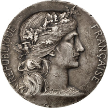 France, Medal, French Third Republic, Politics, Society, War, Dupuis.D, TTB