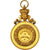 Bélgica, Medal, Politics, Society, War, 1905, EBC, Oro vermeil