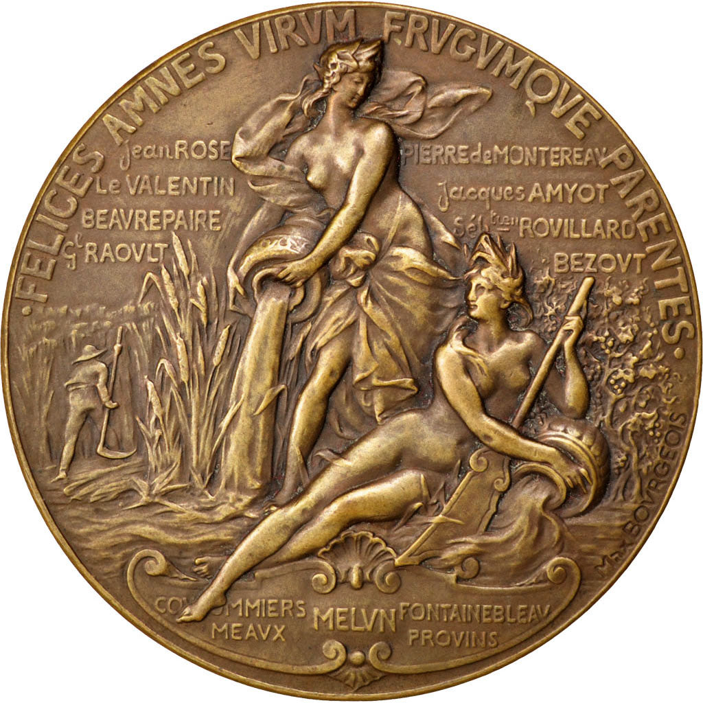 Département de Seine et Marne, Médaille