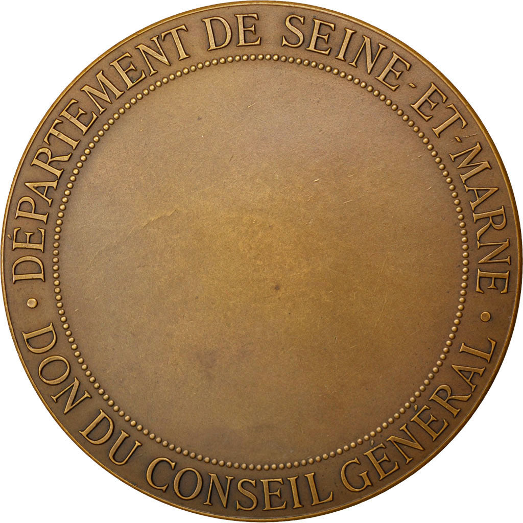 Département de Seine et Marne, Médaille