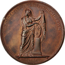 FRANCE, Politics, Society, War, Louis XVIII, Medal, 1815, AU(50-53), Andrieu,...