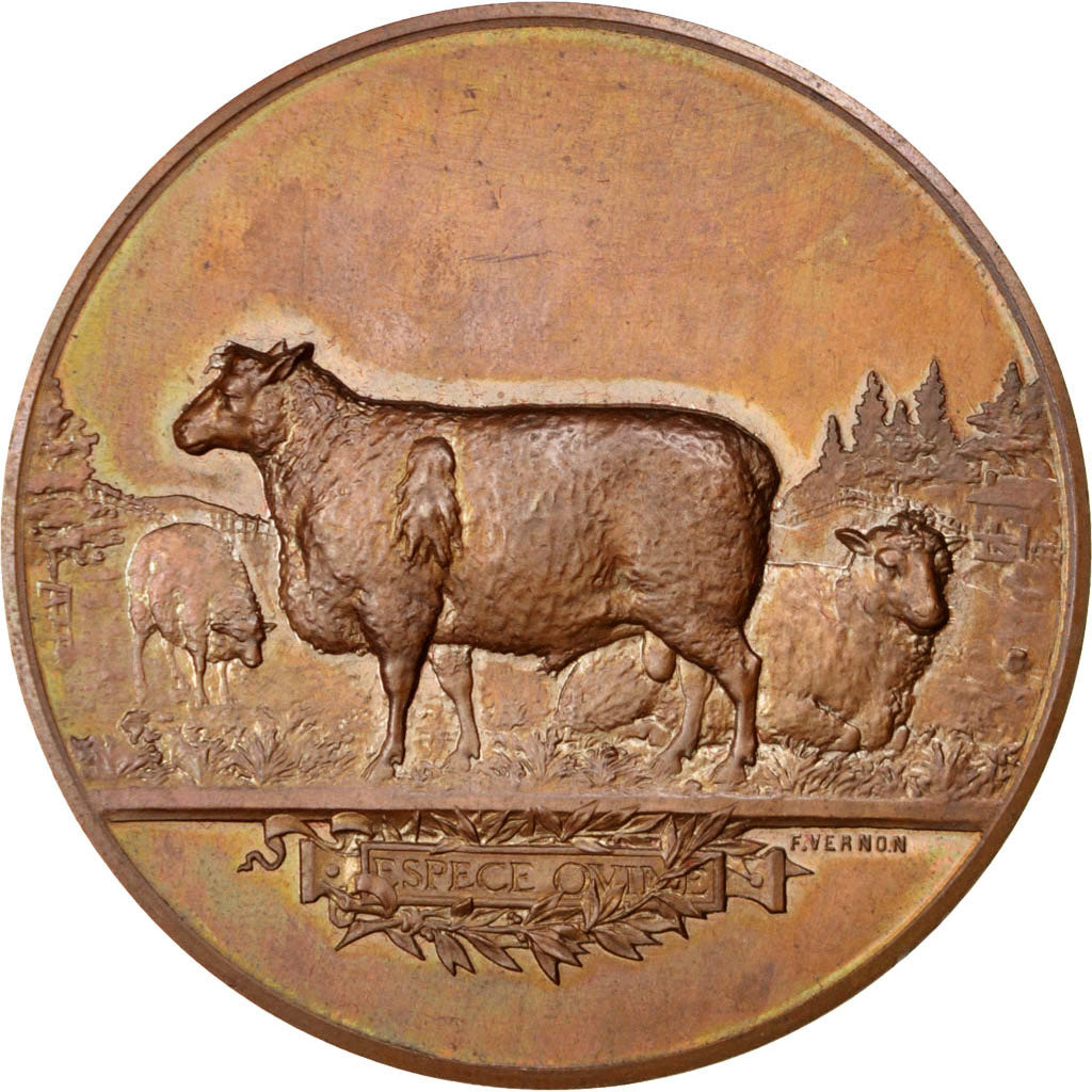 Société d'Agriculture du Département de l'Indre, Médaille