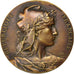 Frankrijk, Medal, French Third Republic, Business & industry, Rivet, PR, Bronze