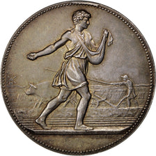 France, Medal, French Third Republic, Medicine, 1876, Lagrange, AU(55-58)