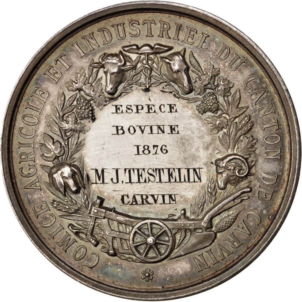 France, Medal, French Third Republic, Medicine, 1876, Lagrange, AU(55-58)